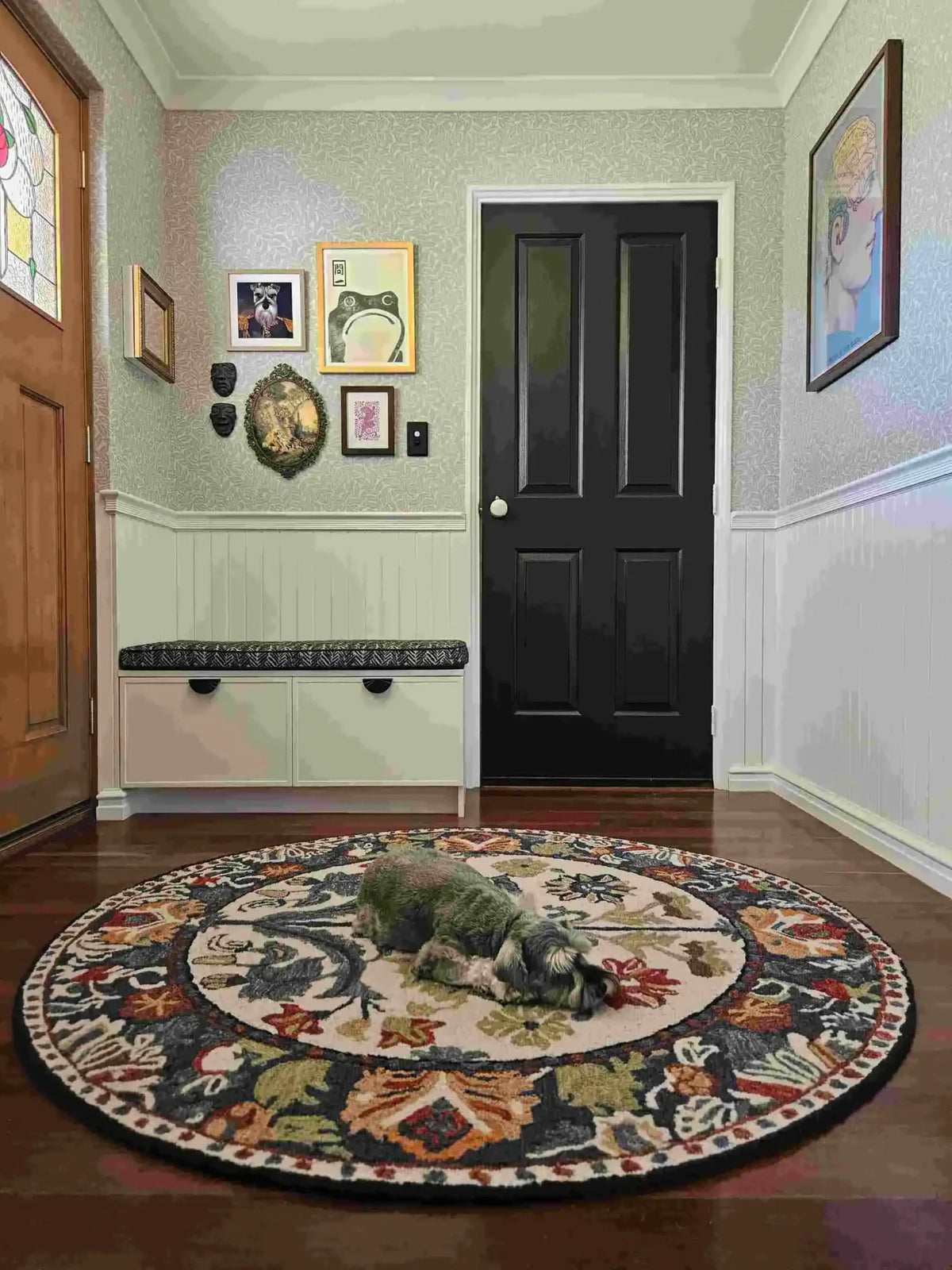 A beautifully designed Blossom Grace Hand Tufted Round Rug adds elegance to a cozy entryway. This floral area rug, perfect for both dining room area rugs and living room settings, features intricate patterns in vibrant colors, creating a warm and inviting atmosphere. A small dog rests comfortably on this wool rug, showcasing its plush texture and comfort.