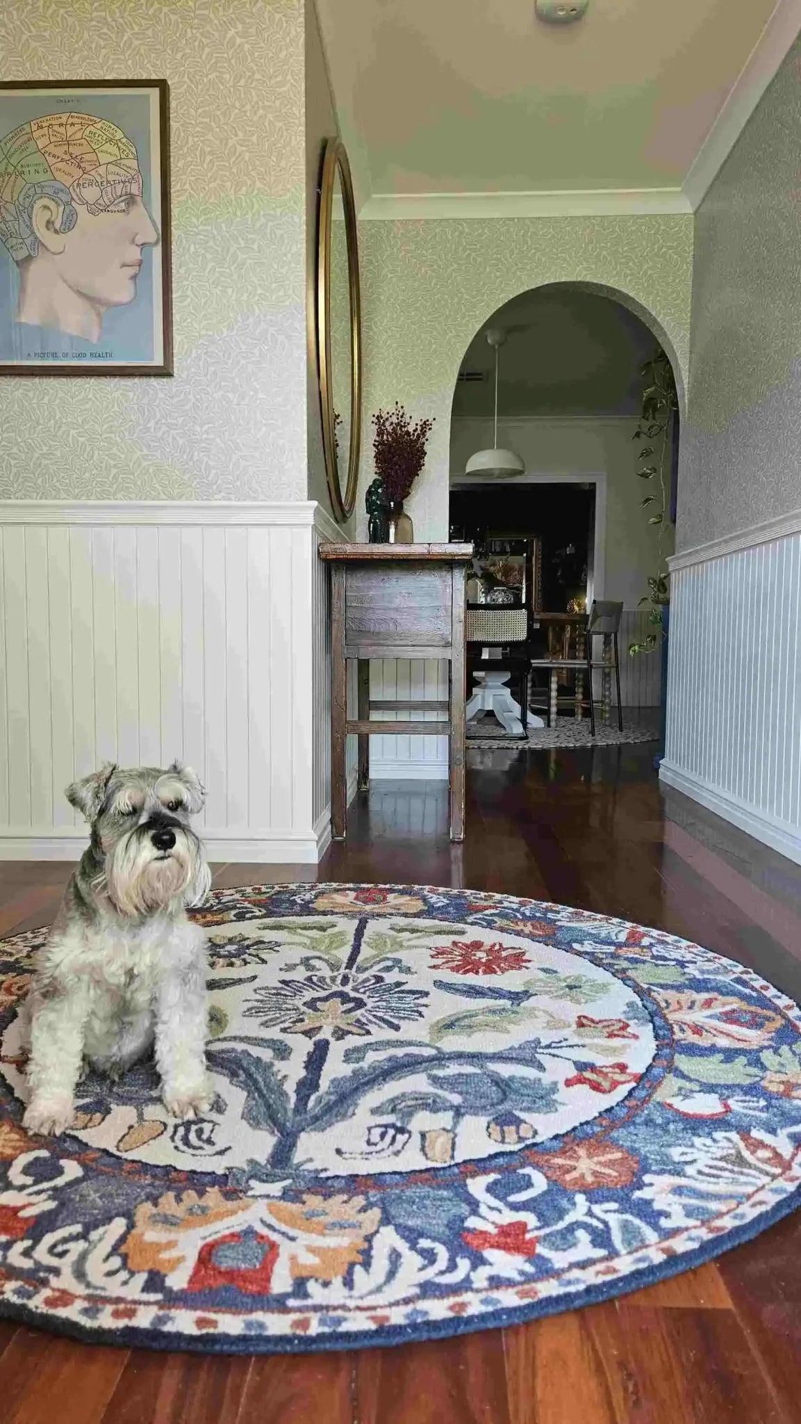 A charming dining room showcasing the Blossom Grace Hand Tufted Round Rug with vibrant floral patterns. This elegant wool rug adds a touch of sophistication to the hardwood floor, perfect for dining room area rugs. A small dog sits comfortably on the round rug, enhancing the cozy ambiance of the living space.