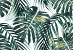 Tropical Oversized Monstera and Palm Leaves Wallpaper