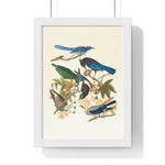 Vintage Blue Birds on Tree Branch Premium Framed Vertical Poster 8" x 11" White