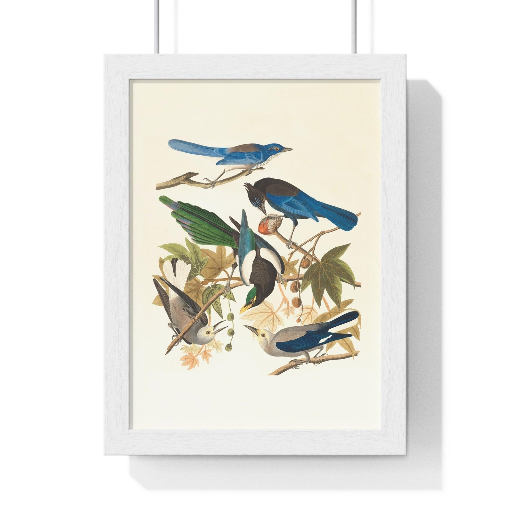 Vintage Blue Birds on Tree Branch Premium Framed Vertical Poster 8" x 11" White