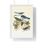 Vintage Blue Birds on Tree Branch Premium Framed Vertical Poster 12″ x 18″ White