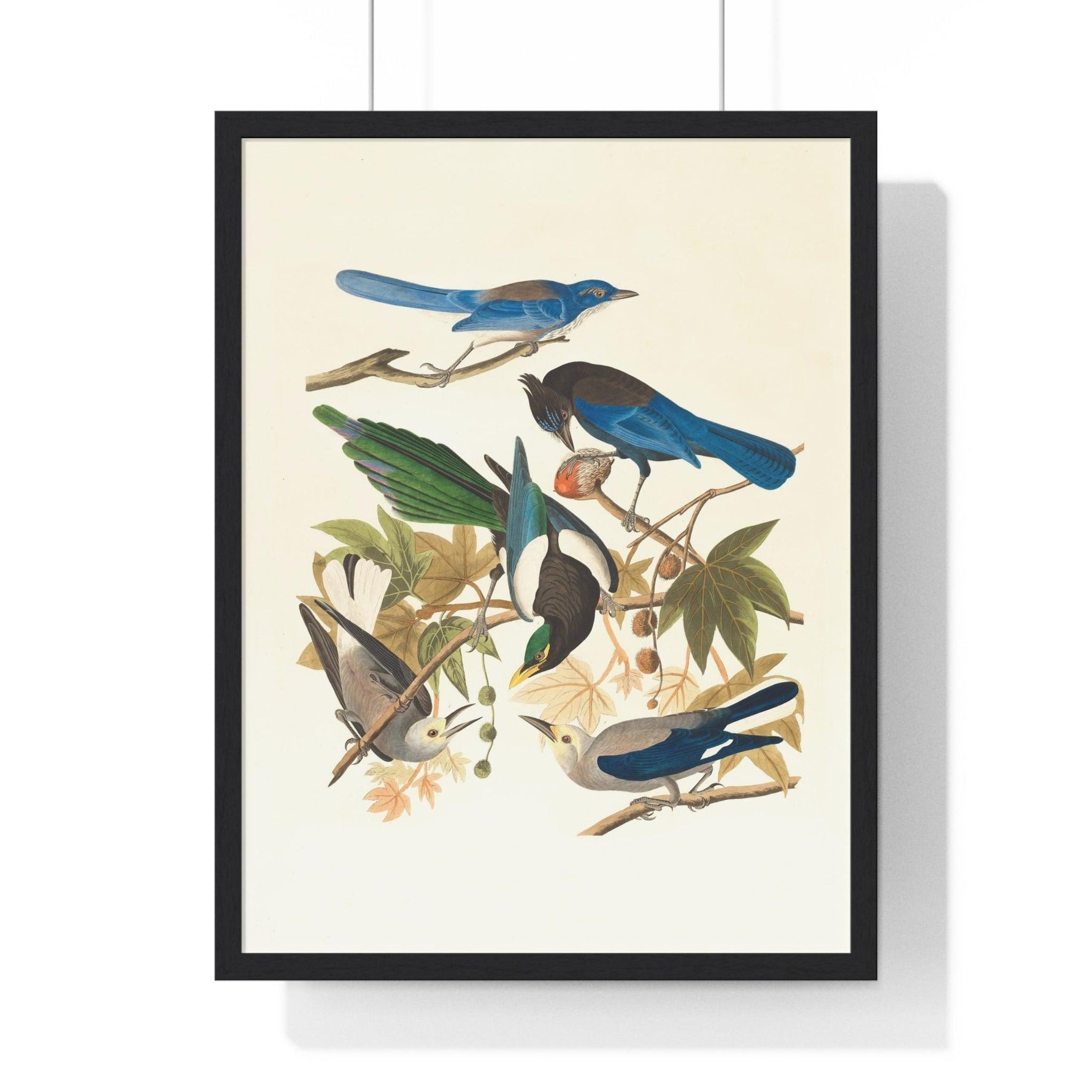 Vintage Blue Birds on Tree Branch Premium Framed Vertical Poster 18″ x 24″ Black