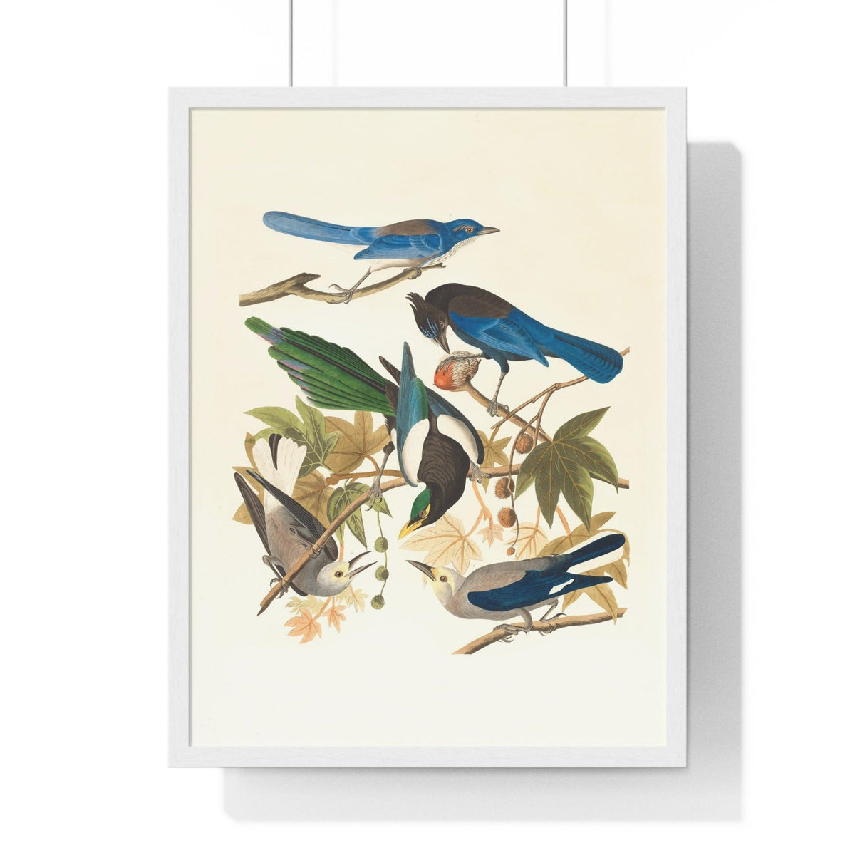 Vintage Blue Birds on Tree Branch Premium Framed Vertical Poster 18″ x 24″ White