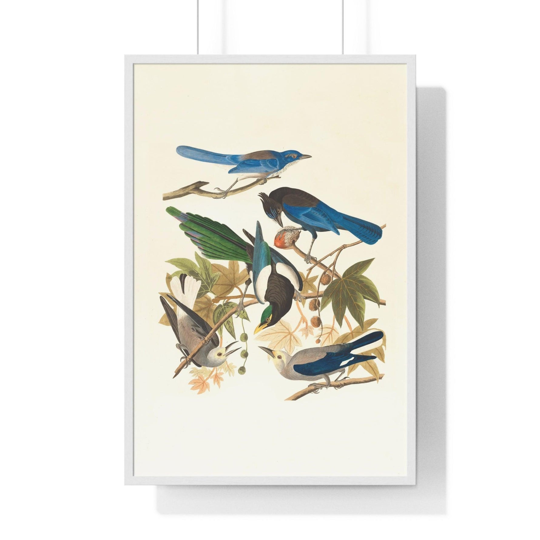 Vintage Blue Birds on Tree Branch Premium Framed Vertical Poster 24″ x 36″ White