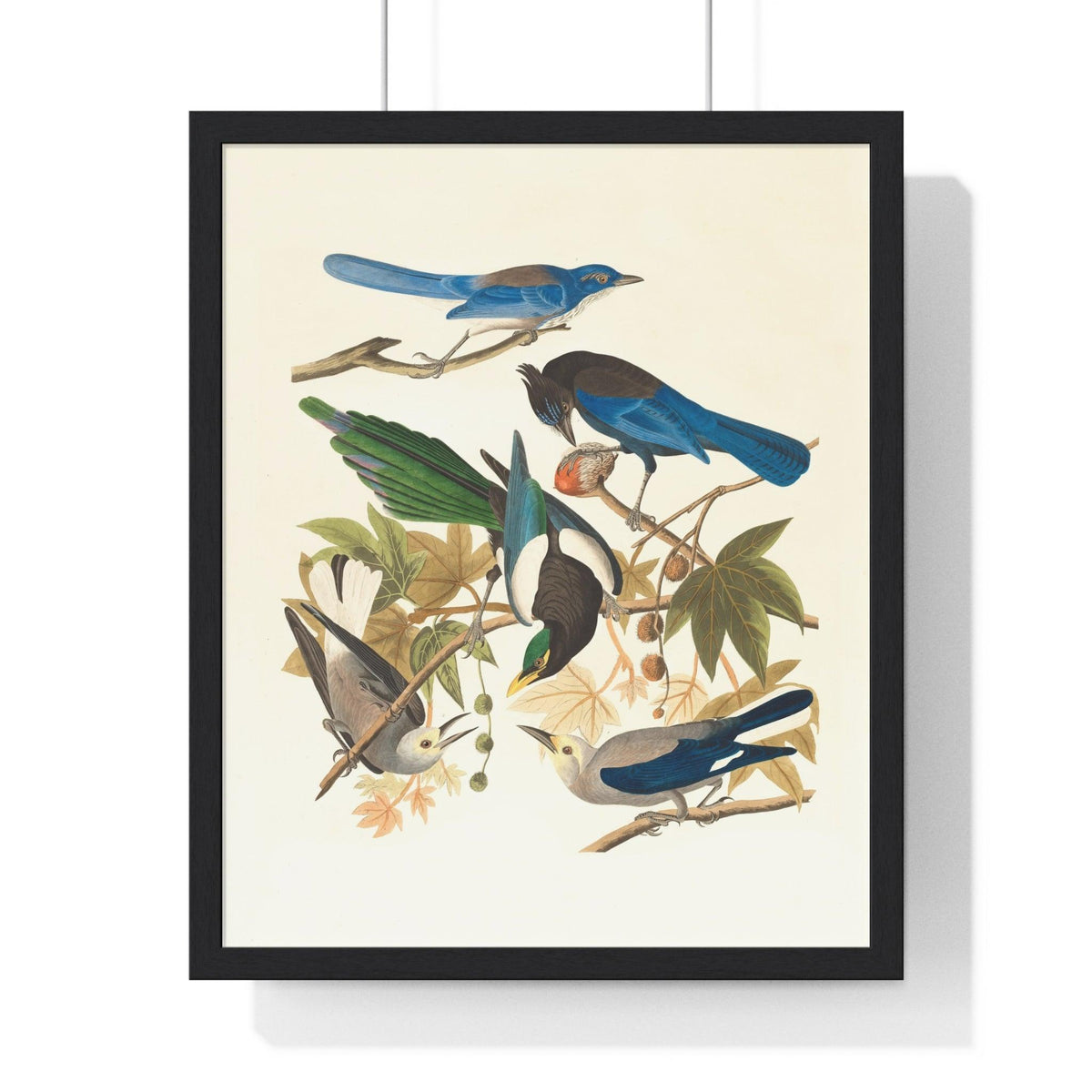 Vintage Blue Birds on Tree Branch Premium Framed Vertical Poster 16" x 20" Black