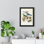 Vintage Blue Birds on Tree Branch Premium Framed Vertical Poster