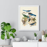 Vintage Blue Birds on Tree Branch Premium Framed Vertical Poster