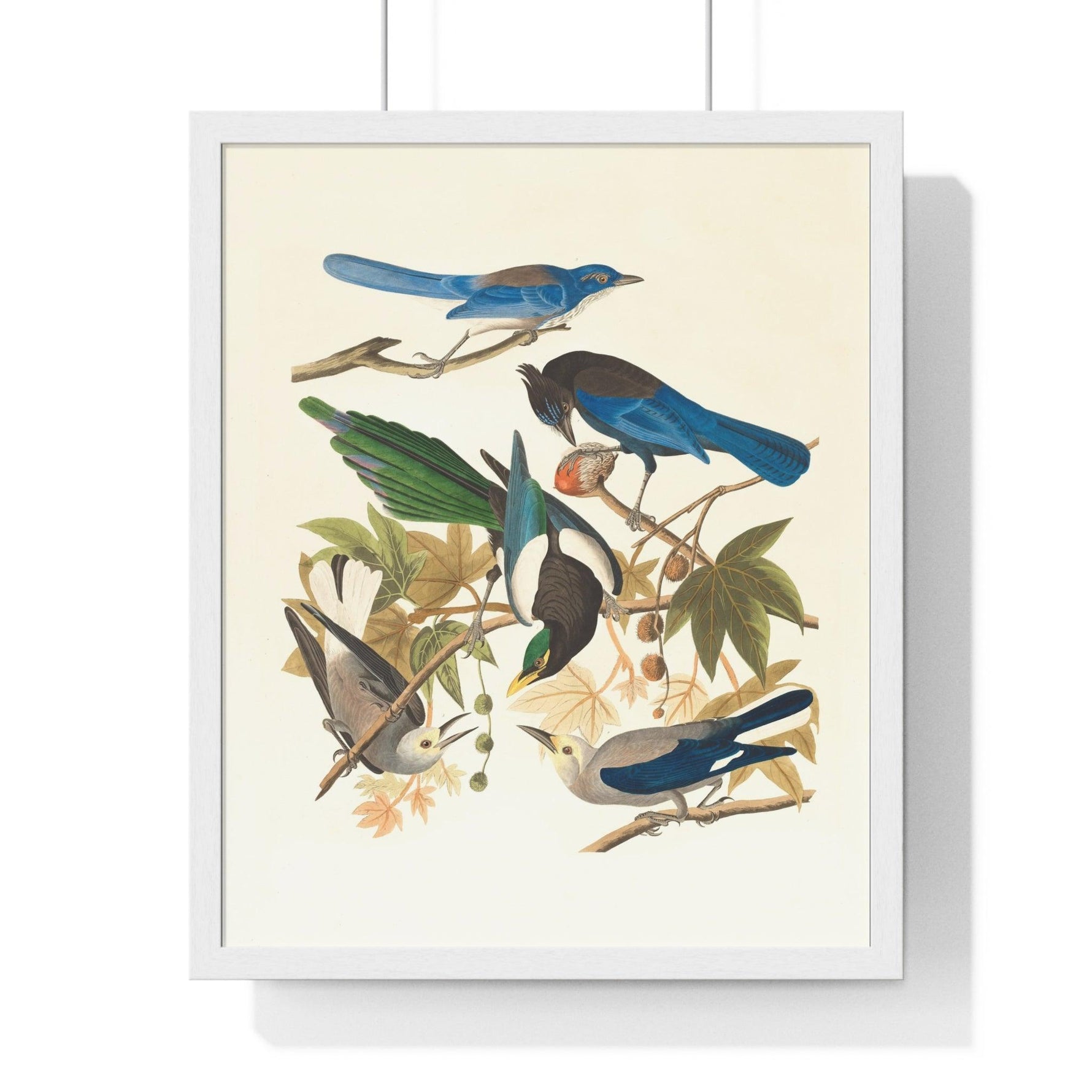 Vintage Blue Birds on Tree Branch Premium Framed Vertical Poster 16" x 20" White