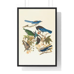 Vintage Blue Birds on Tree Branch Premium Framed Vertical Poster 20" x 30" Black