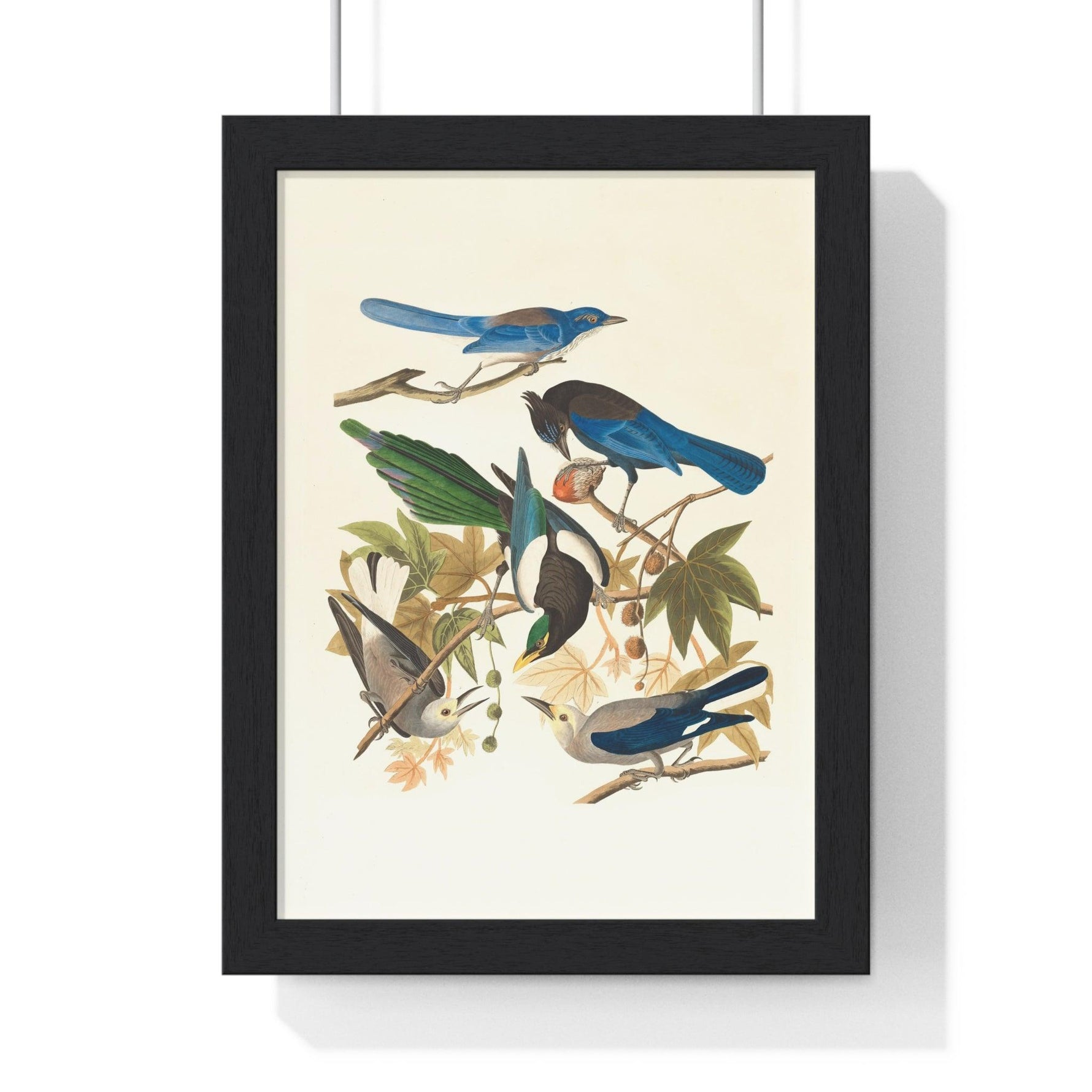 Vintage Blue Birds on Tree Branch Premium Framed Vertical Poster 8" x 11" Black