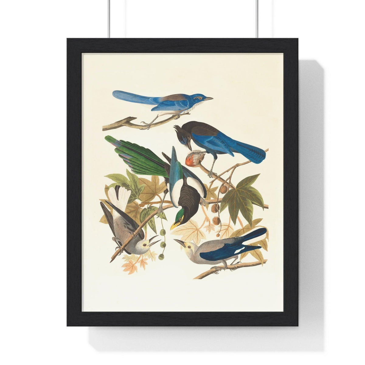 Vintage Blue Birds on Tree Branch Premium Framed Vertical Poster 11″ x 14″ Black