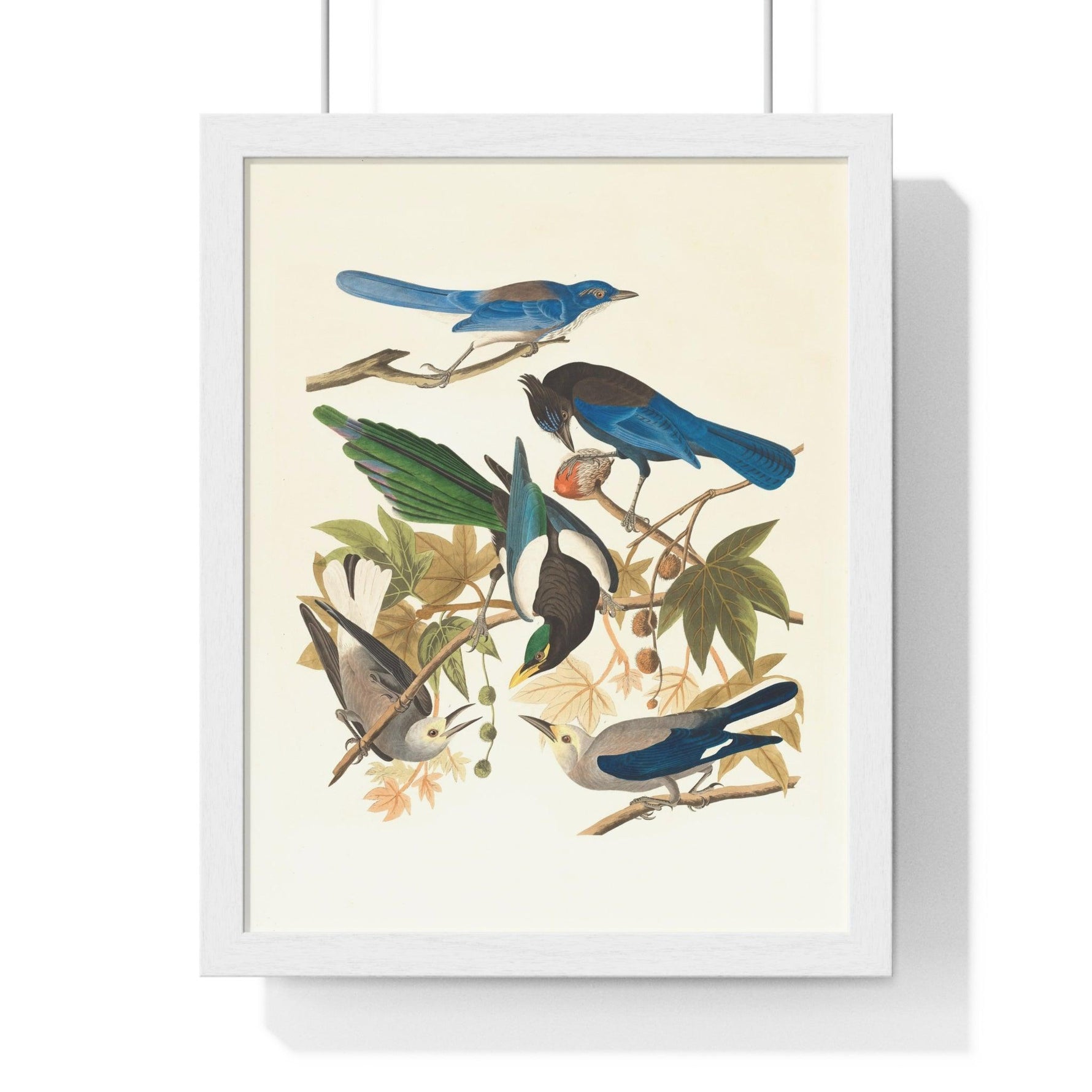 Vintage Blue Birds on Tree Branch Premium Framed Vertical Poster 11″ x 14″ White