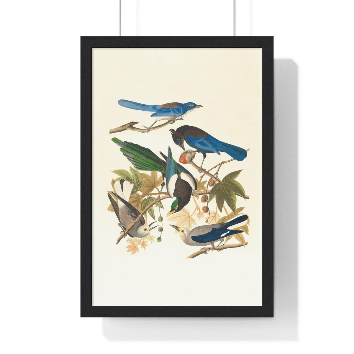 Vintage Blue Birds on Tree Branch Premium Framed Vertical Poster 12″ x 18″ Black