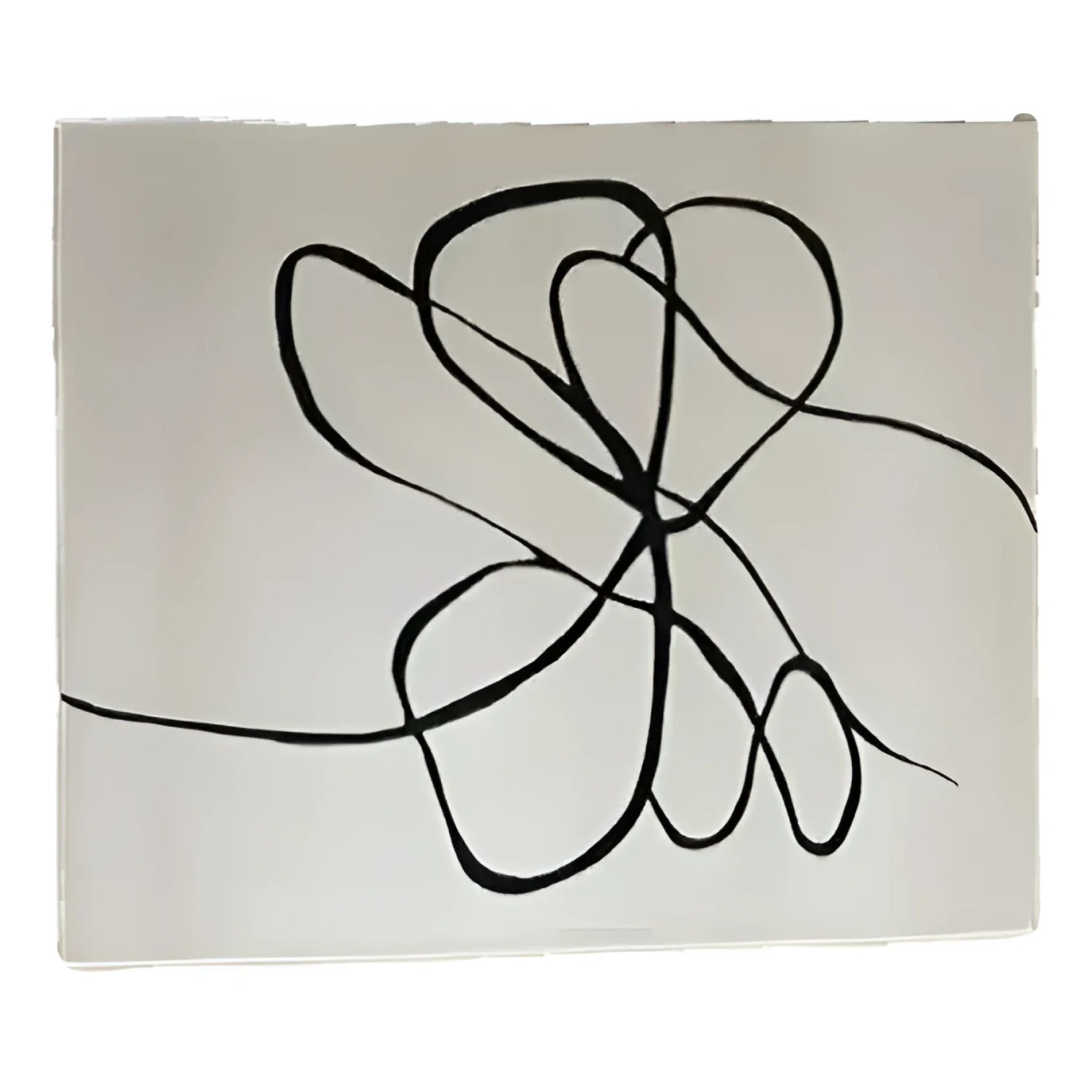 Wandering Lines Hand Knotted Wool Rug - 1001 KNOTS