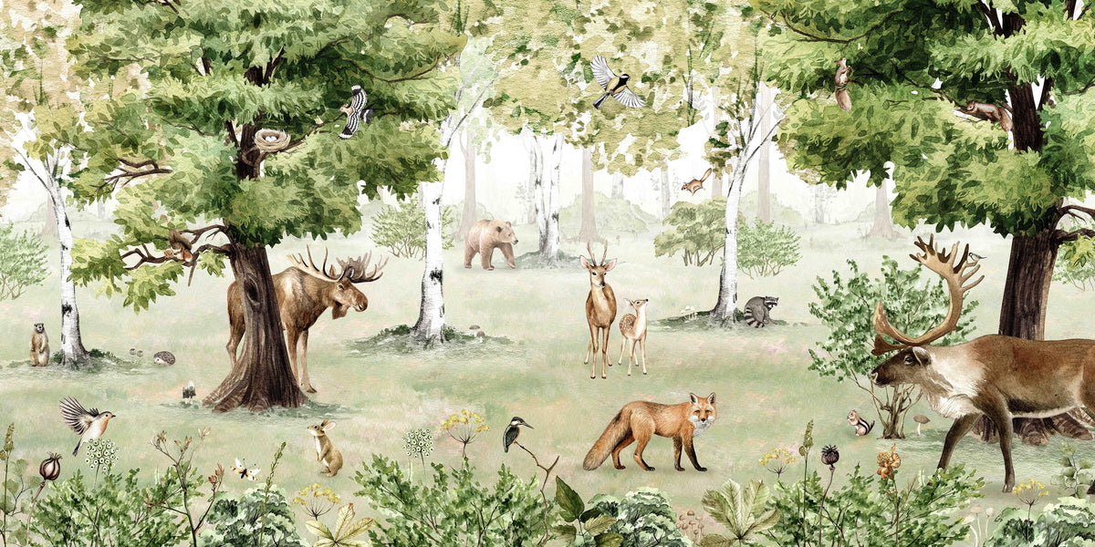 Woodland Wonders Wallpaper Mural