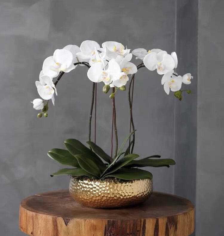 3 Stems White Phalaenopsis Arrangement in Golden Ceramic Pot - MAIA HOMES