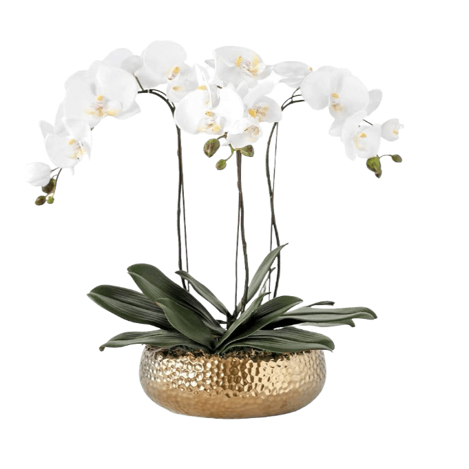 3 Stems White Phalaenopsis Arrangement in Golden Ceramic Pot