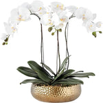 3 Stems White Phalaenopsis Arrangement in Golden Ceramic Pot