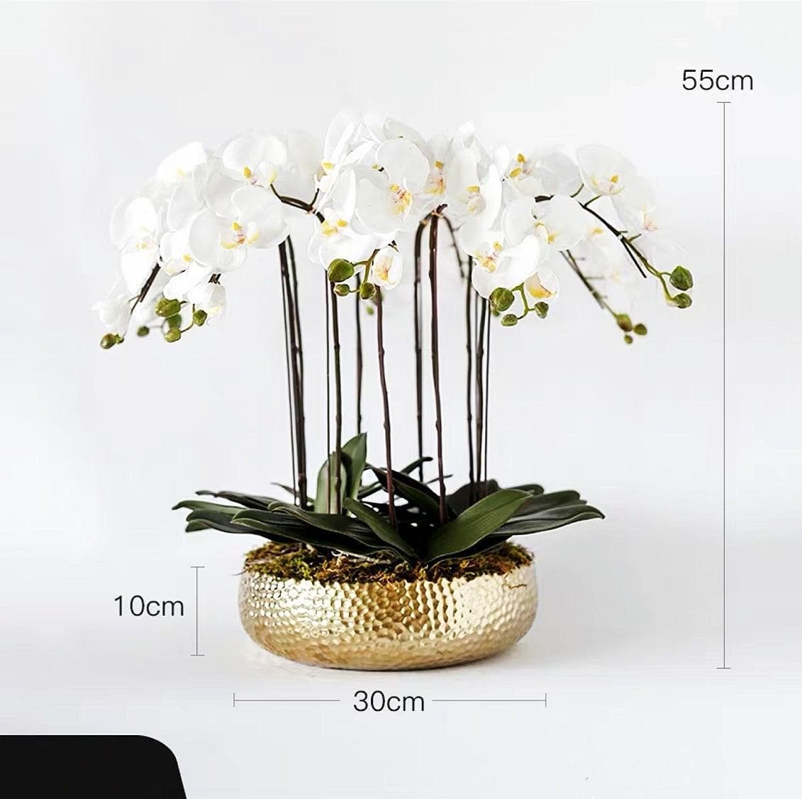 6 Stems White Phalaenopsis Arrangement in Golden Pot