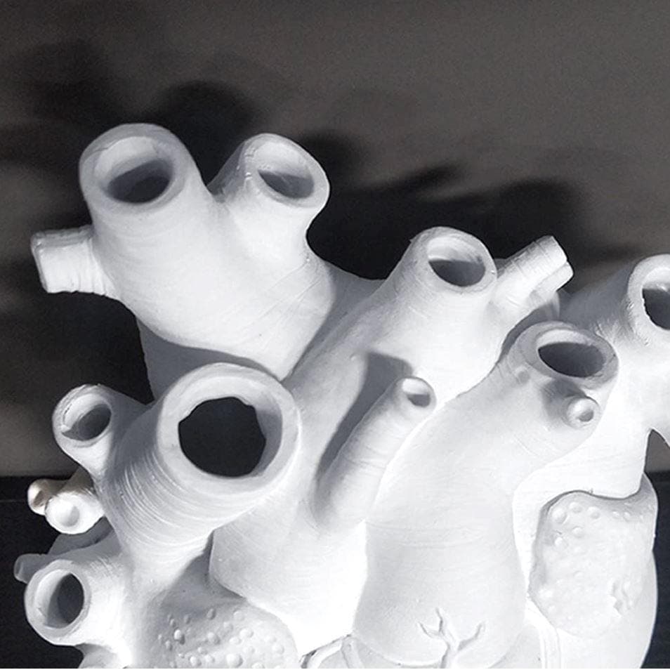 Anatomical Heart Flower Vase Sculpture - MAIA HOMES