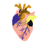 Anatomical Heart Shaped Wool Rug - Peach