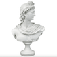 Apollo Belvedere Bust Sculpture - MAIA HOMES