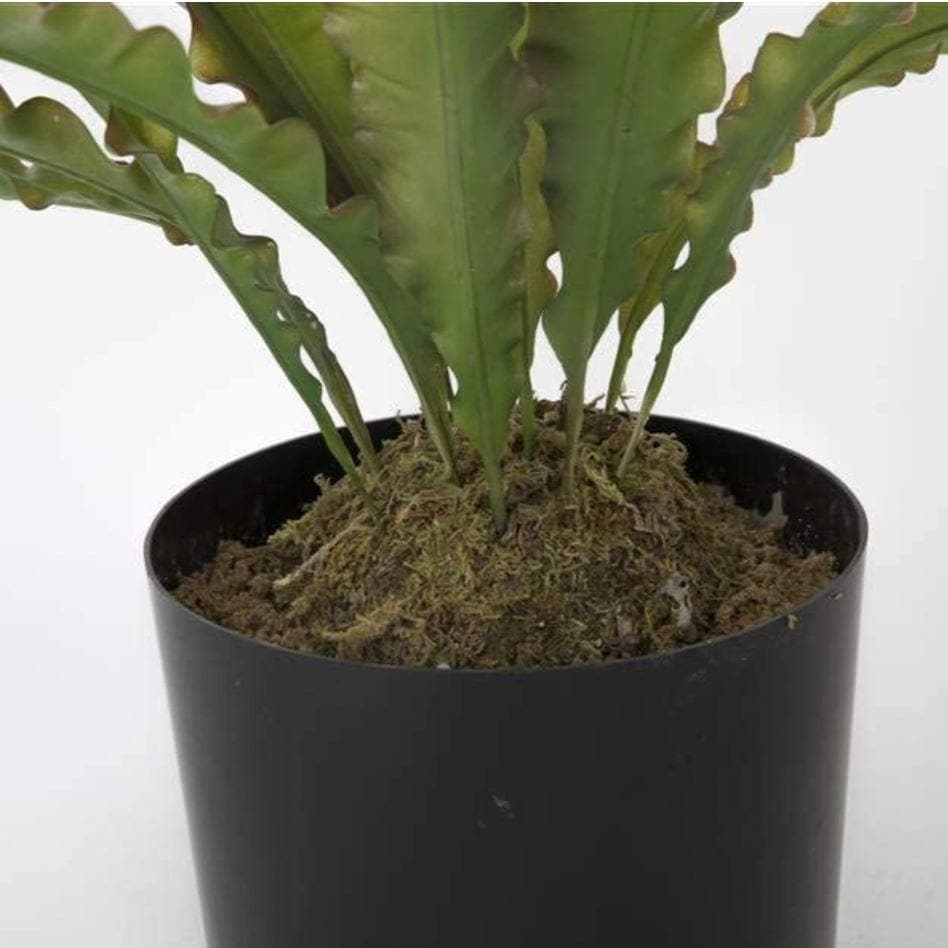 Artificial Agave Plant