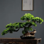 Artificial Bonsai Arrangement with Real Tree Trunk