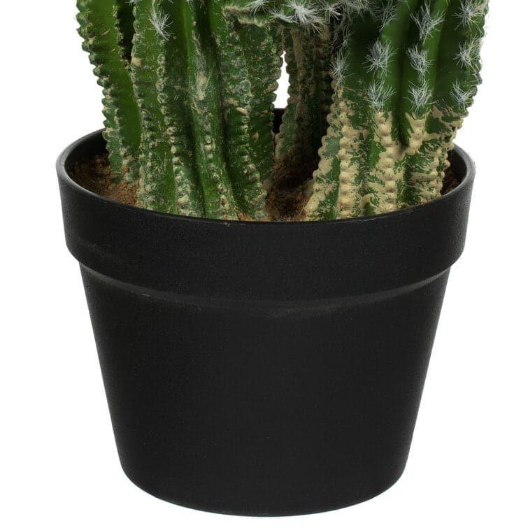 Artificial Cactus Plant in Pot