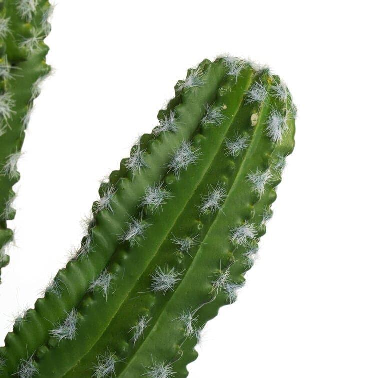 Artificial Cactus Plant in Pot