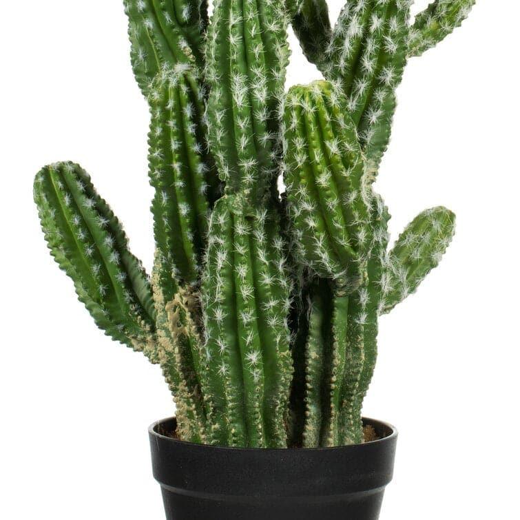 Artificial Cactus Plant in Pot