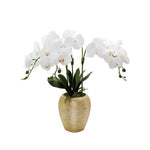 Artificial Orchid Plant in Gold Pot