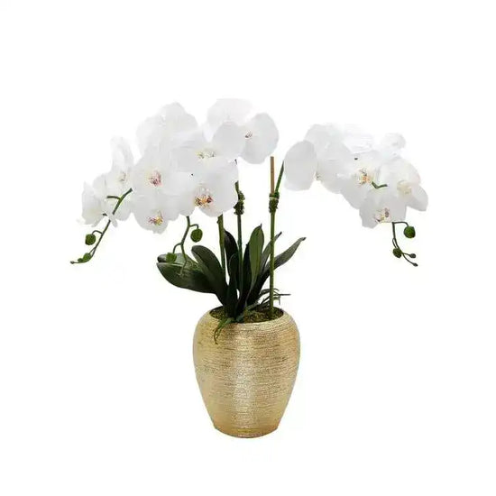 Artificial Orchid Plant in Gold Pot MAIA HOMES
