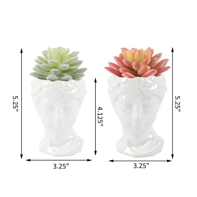 Artificial Succulent in Goddess Planter Set