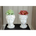 Artificial Succulent in Goddess Planter Set