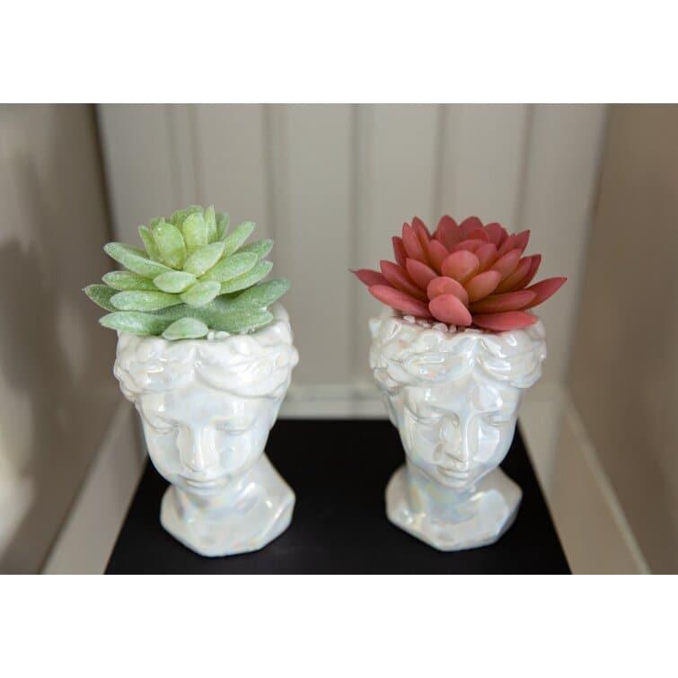 Artificial Succulent in Goddess Planter Set