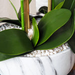 Artificial White Orchid Pot