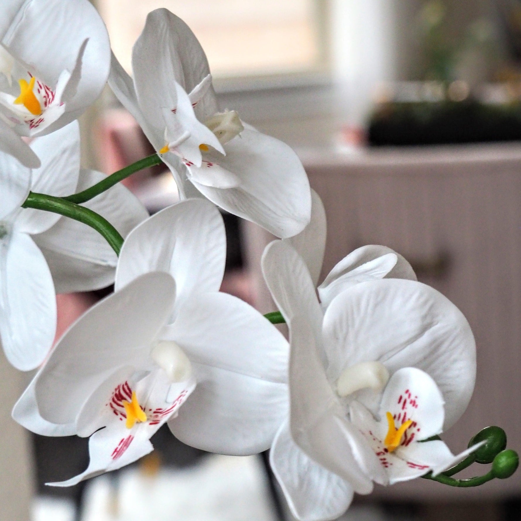 Artificial White Orchid Pot