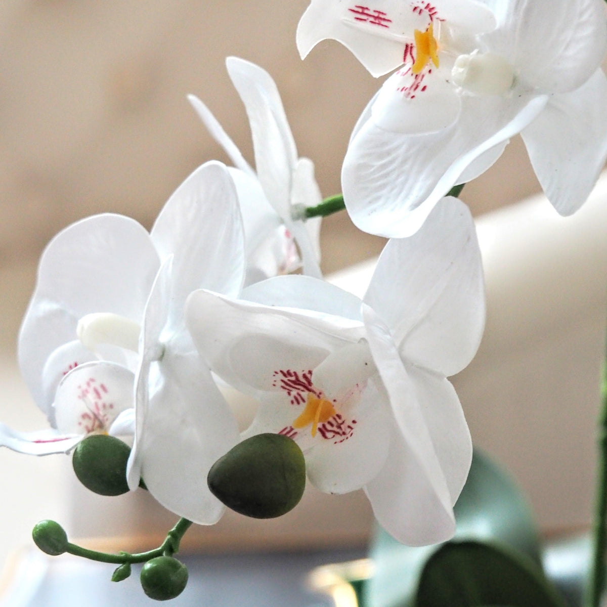 Artificial White Orchid Pot