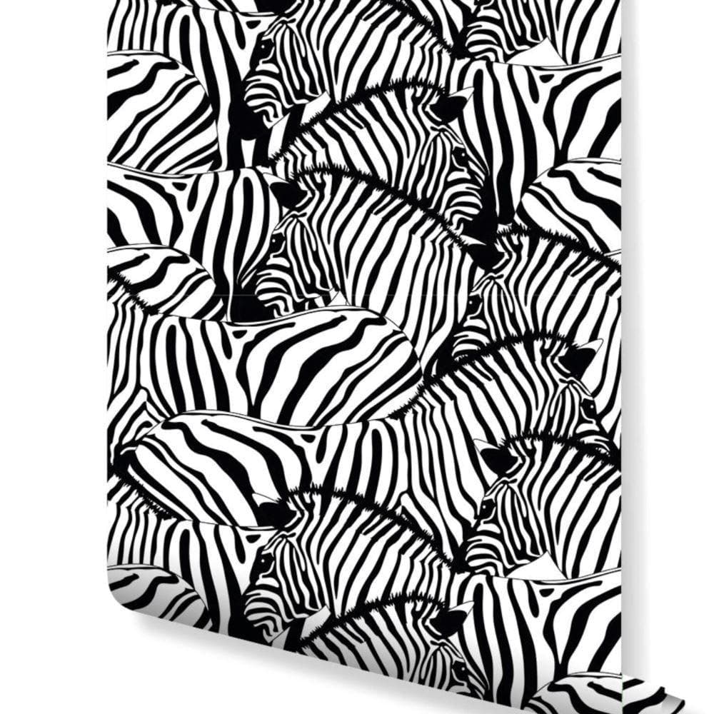 Black and White Zebra Wallpaper