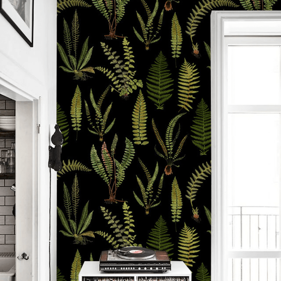 Black Botanical Ferns Wallpaper