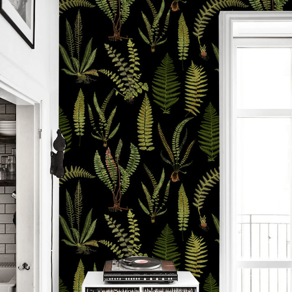 Black Botanical Ferns Wallpaper - MAIA HOMES