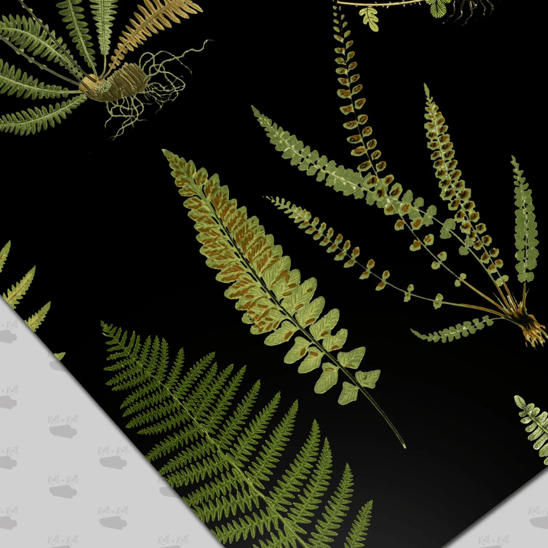 Black Botanical Ferns Wallpaper