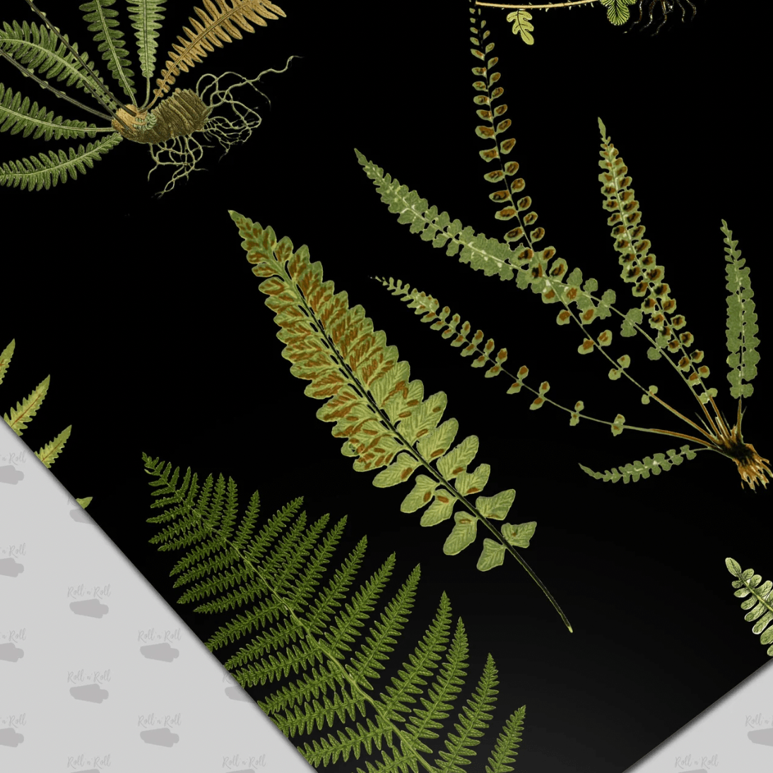 Black Botanical Ferns Wallpaper - MAIA HOMES