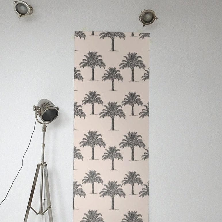 Black Palm Trees in the Dessert Wallpaper