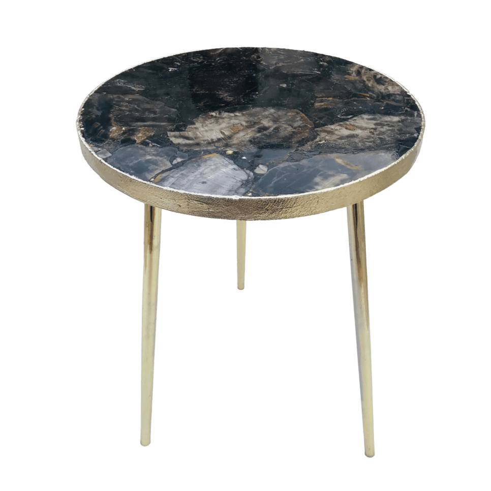 Black Petrified Wood Agate Round Edge Side Table