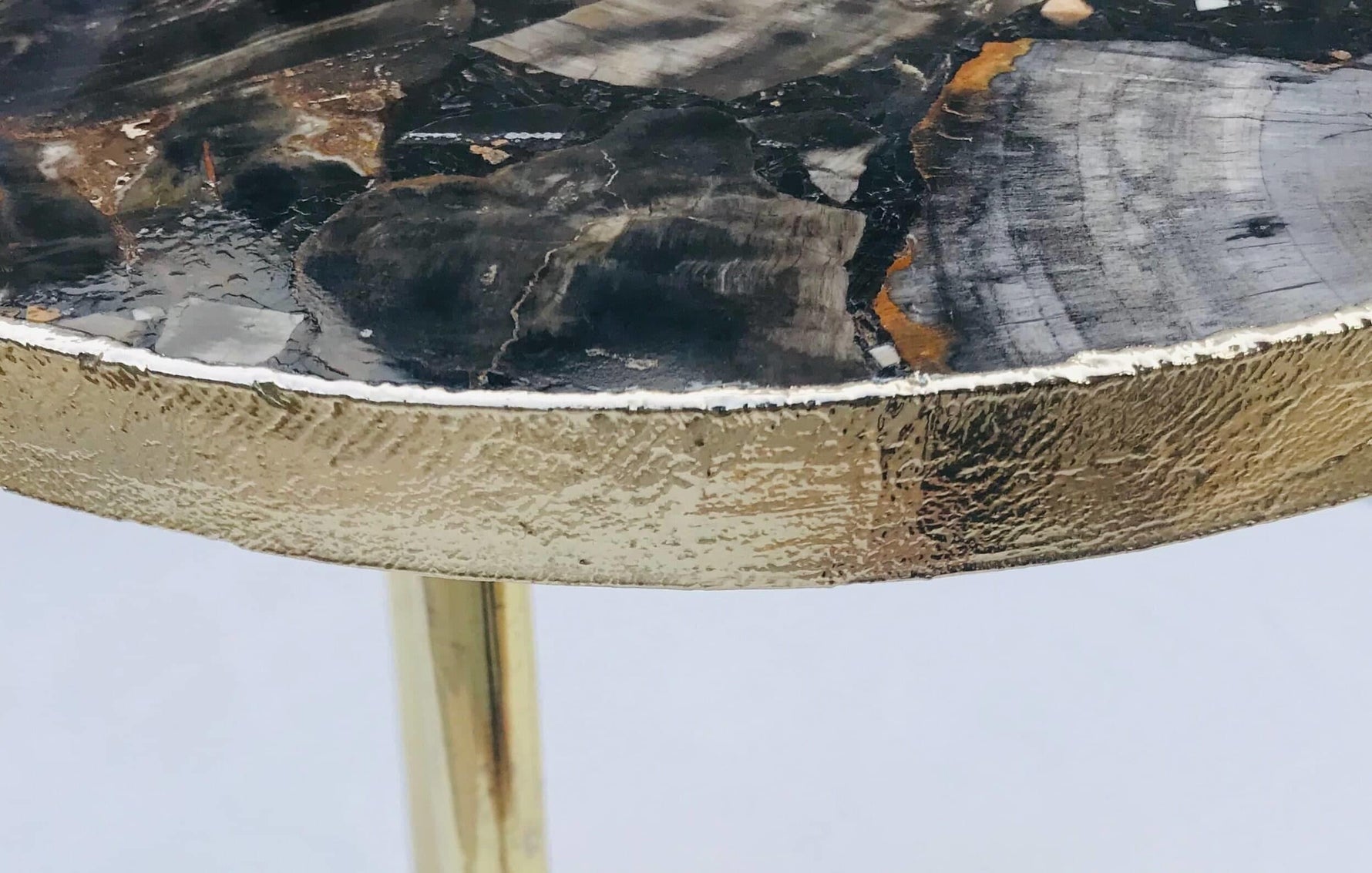 Black Petrified Wood Agate Round Edge Side Table