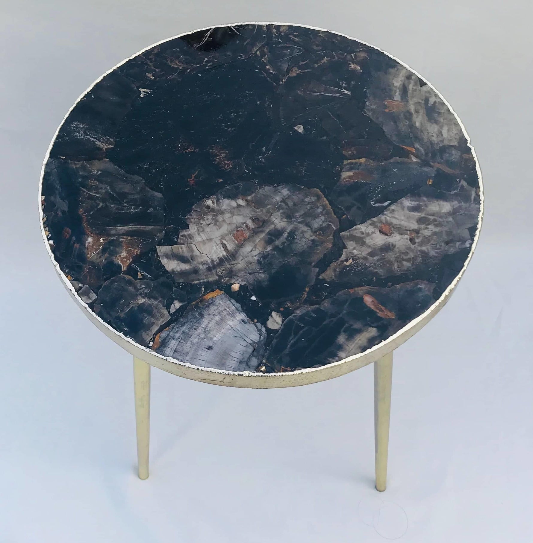 Black Petrified Wood Agate Round Edge Side Table