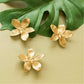 Brass Dogwood Flower Door Knobs - Set of 2 - MAIA HOMES